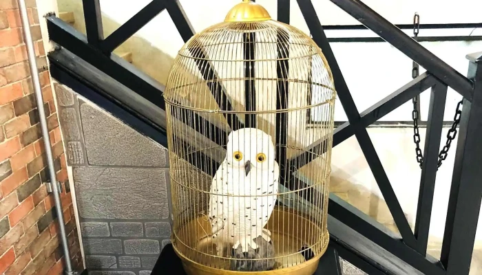 Frikantec - Montevideo