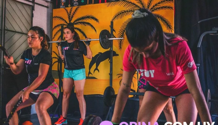 Ftuy Gim -  Sitio Web - Melo