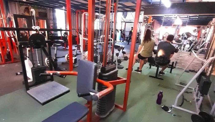 Fuerza Bruta Gym -  Banco De Entrenamiento - Barros Blancos