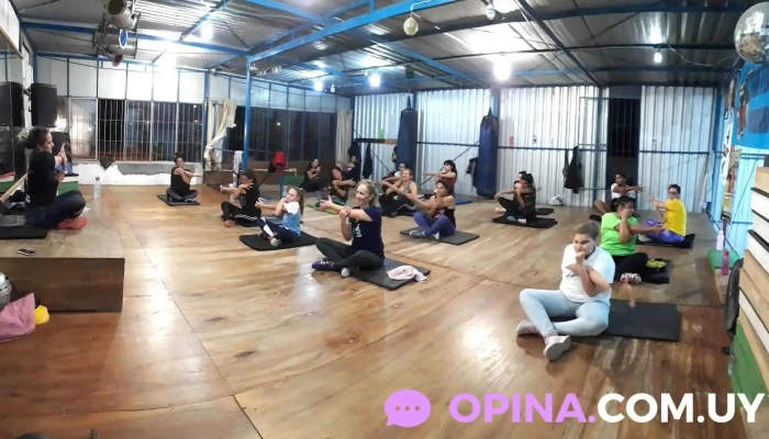 Fuerza Bruta Gym -  Ejercicio Fisico - Barros Blancos