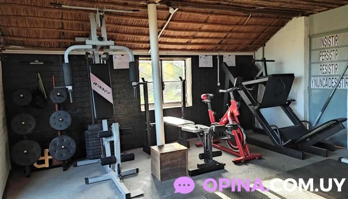 Funcional Training Gym -  Sitio Web - Vergara