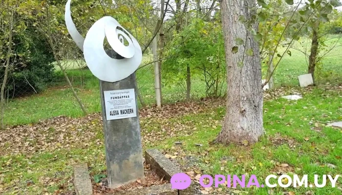 Fundappas -  Videos - Montevideo