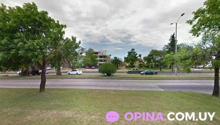 Gabriela R.del Pozzo - 11500 Montevideo