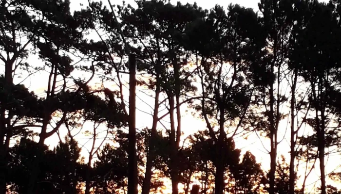 Galeria Atlantida Direccion - Atlántida