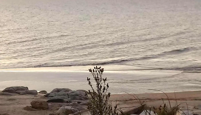 Galeria Atlantida Donde - Atlántida