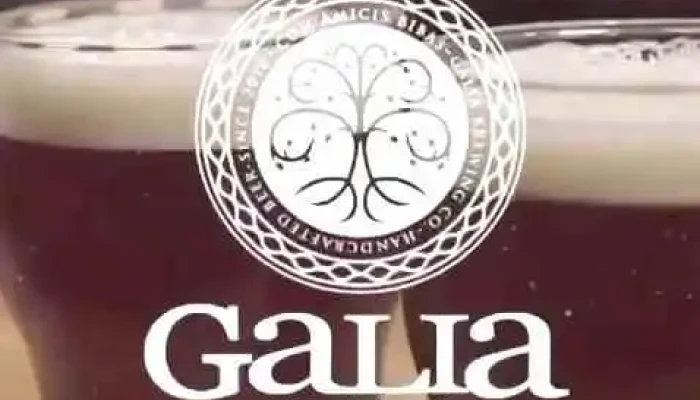 Galia Brewing Co:  Videos - Cervecería