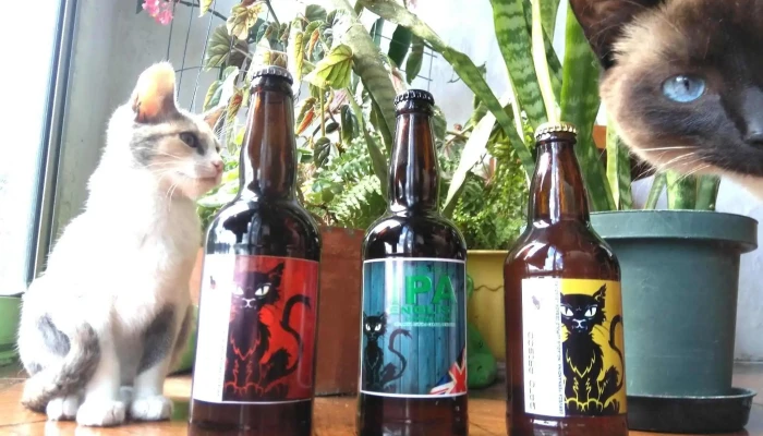 Gato Arisco Beer:  Todo - Cervecería artesanal