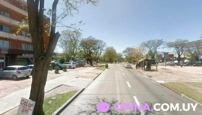 GcEstilista - 11400 Montevideo