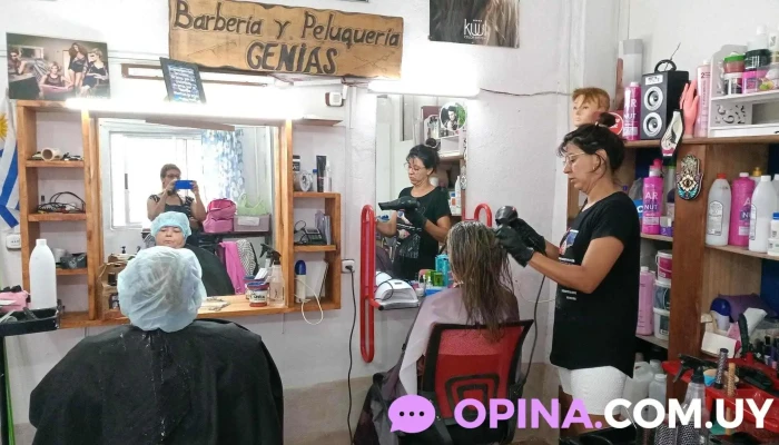 Genias, cursos y talleres a domicilio y en local - 90000 Toledo