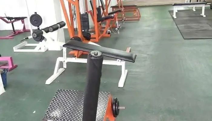 Gimnasio Jw Fitness - Progreso