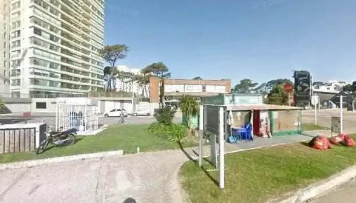 Gineco   Ginecologia Especializada Catalogodeg - Punta del Este