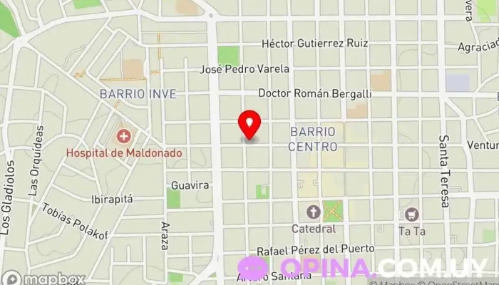 mapa de Global Dance Studio Escuela en Maldonado