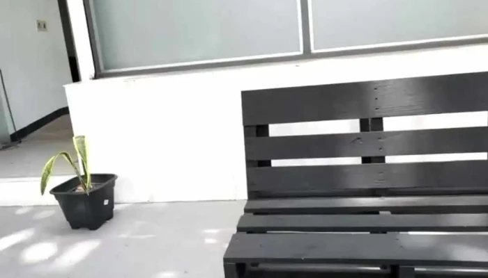 Goats Videos - Montevideo