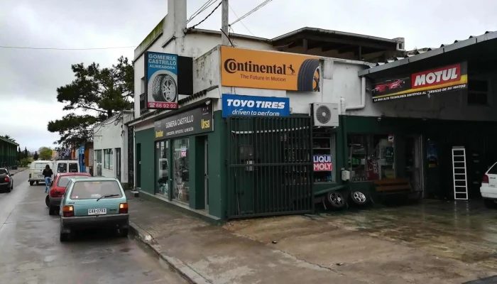 Gomeria Castrillo - 20400 San Carlos