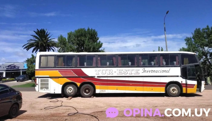 Gomería ruta 8 - Tenientes De Artigas