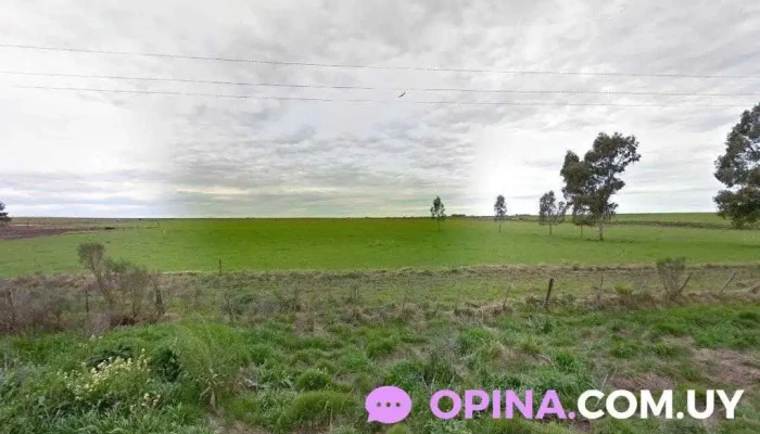 Granja Las Abuelas Ceretta - 80100 Puntas De Valdez