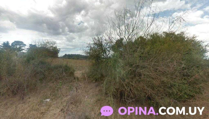 Gregorio Morena y Cia - 70100 Carmelo