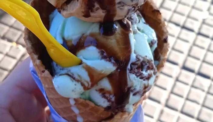 Grido Helado:  Comentario 2 - Heladería