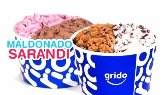 Grido Helado Maldonado:  Todo