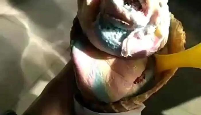 Grido Helado:  Videos - Heladería