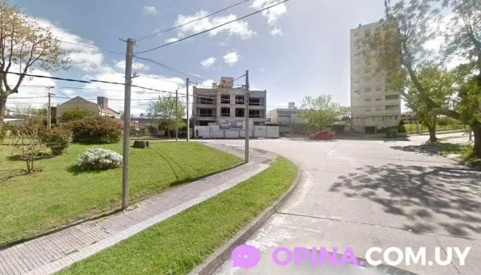 grupo panal - 11400 Montevideo