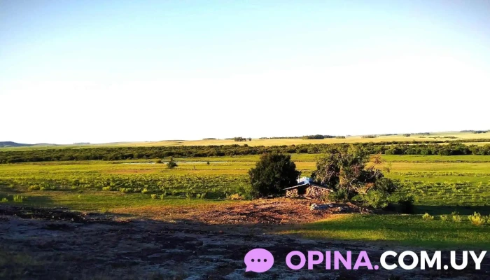 Guichon -  Puntaje - Departamento de Paysandú