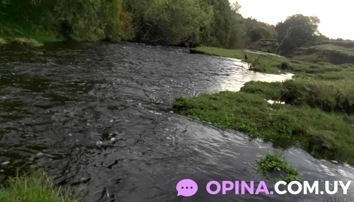 Guichon -  Videos - Departamento de Paysandú