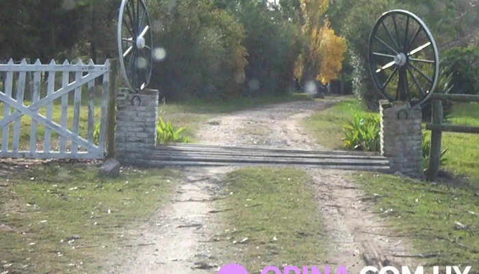 guillermo arrillaga - Florida