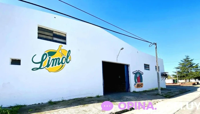 Gustamas - 94000 Florida