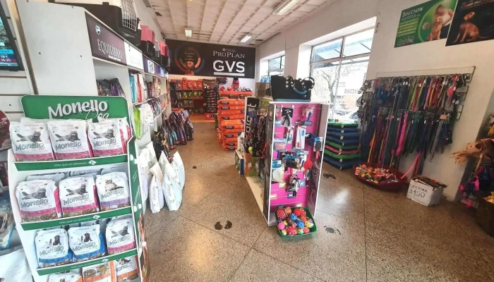 Gvs veterinaria - Joaquín Suarez