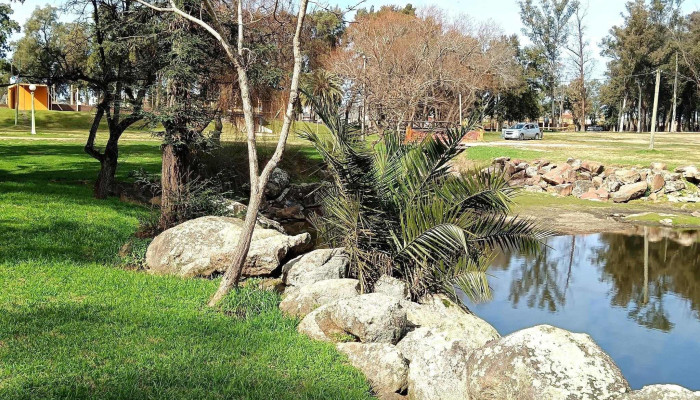 Gyd Papeleria Como Llegar - Trinidad