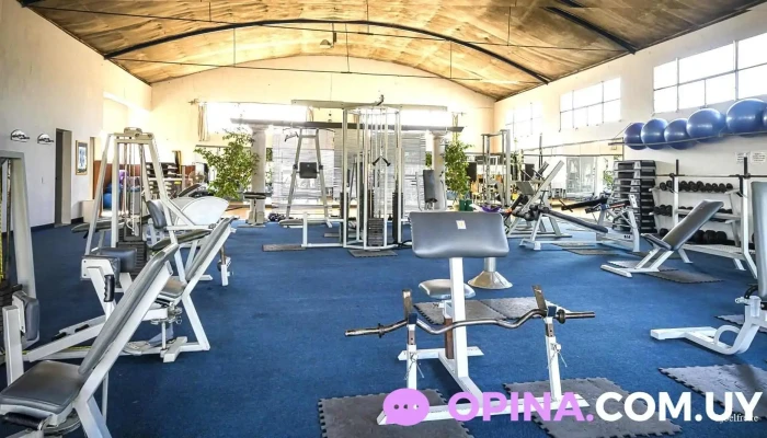 Gym Mega -  Instagram - Col. del Sacramento