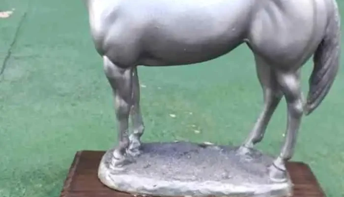 Haras Rml Cuarto De Milla -  Caballo - Villa Sara