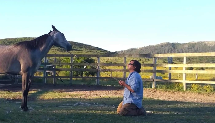 Haras San Francisco -  Telefono - Piriápolis