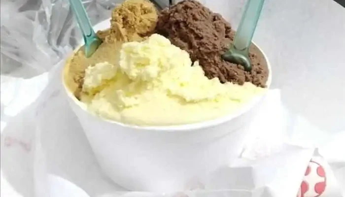 Heladeria Artesanal Solymar Helado