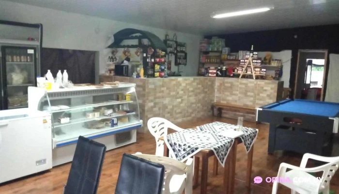 Heladeria Y Pizeria Lo Del Mono Ambiente - Restaurante