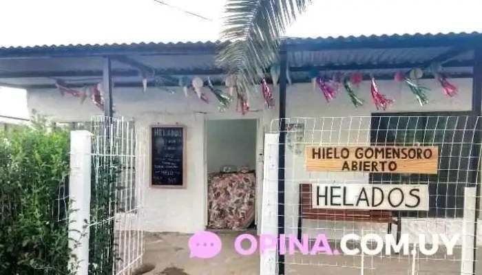 Hielo Gomensoro:  Todo - Tienda general