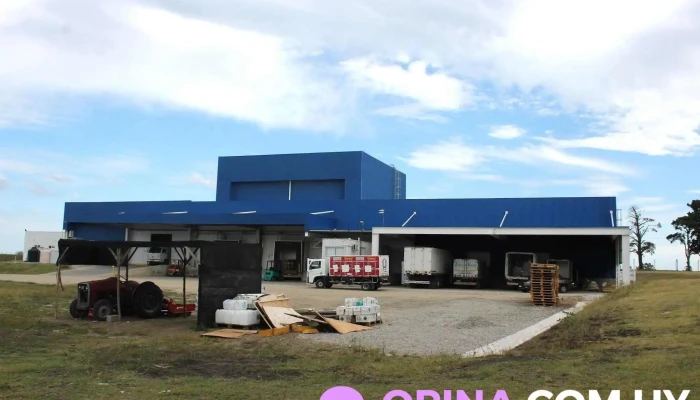 Hnos. Armand Ugon y Cia S.a - 70300 Nueva Helvecia