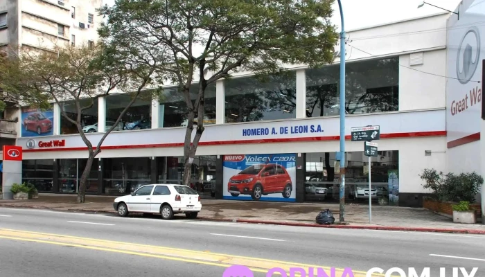 Homero De León - 11800 Montevideo