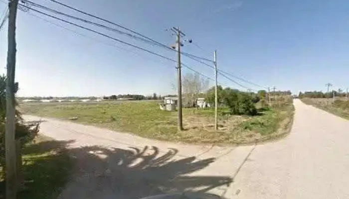 Horticola El Fortin Sas Cerca De Mi - Estación Atlántida