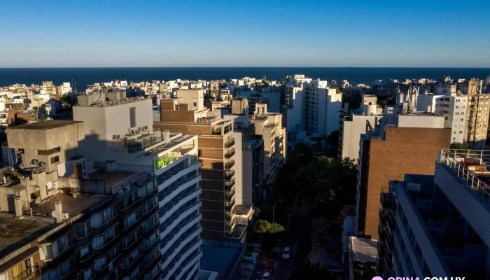 Hotel Ibis Styles Montevideo:  Todas - Hotel