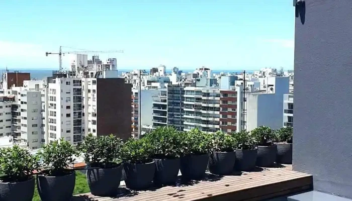 Hotel Montevideo The Leading Hotels Of The World:  Videos - Hotel