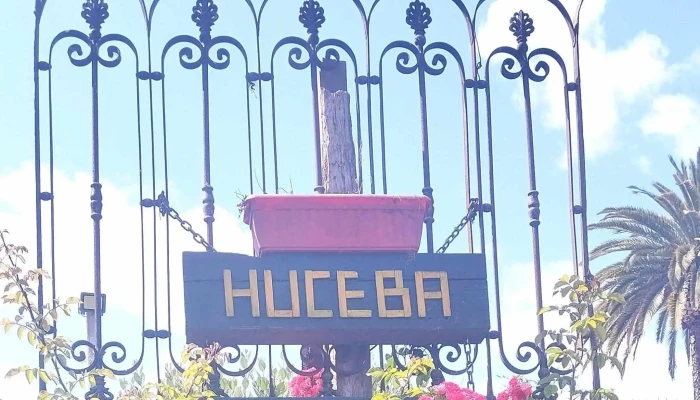 Huceba Huerta Comunitaria Instagram - Montevideo