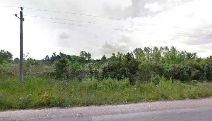 Huerta Organica La Negrita Instagramdeg - Montevideo