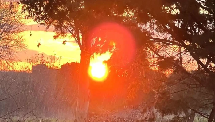 Igortractor - Hermano Engelberto Francois L. Duchene