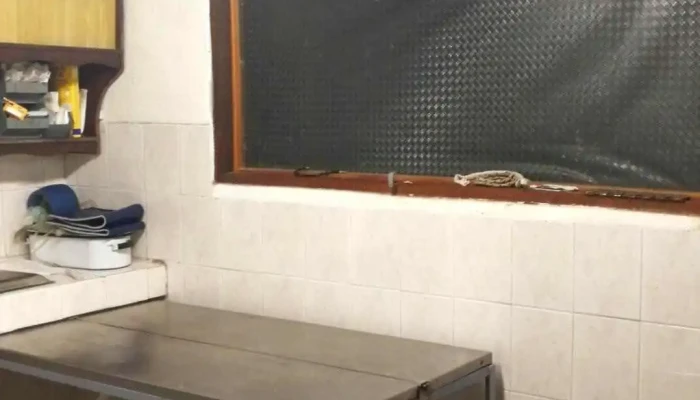 Imagenologia Veterinaria Delfino - Francisco