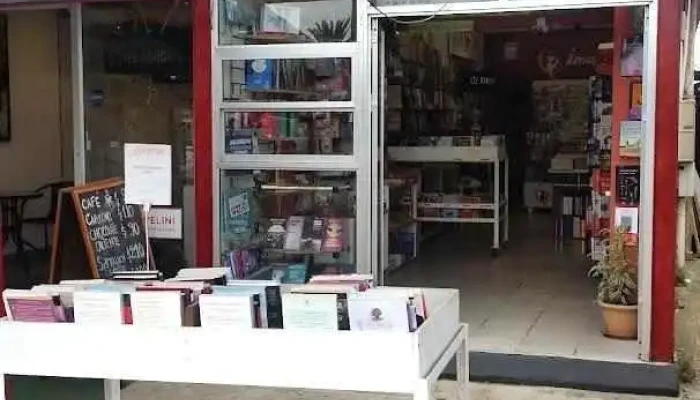 Imaginarte - La Paloma