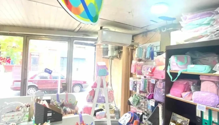 Imprenta Y Papeleria Letras Del Propietario - Montevideo