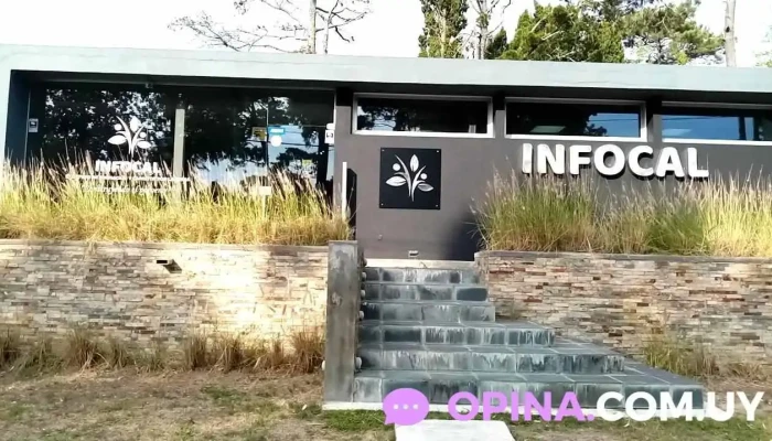 Infocal by Ana's Workshops ( Enseñanza de idiomas, Formación y Capacitación Laboral) - Punta Del Este