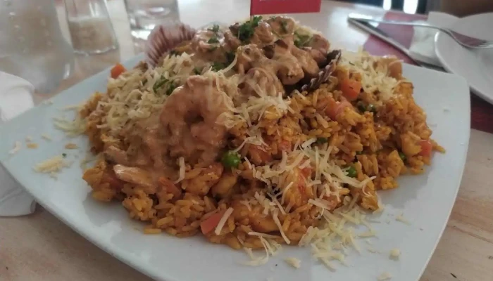 Inka Chicken Arroz Frito